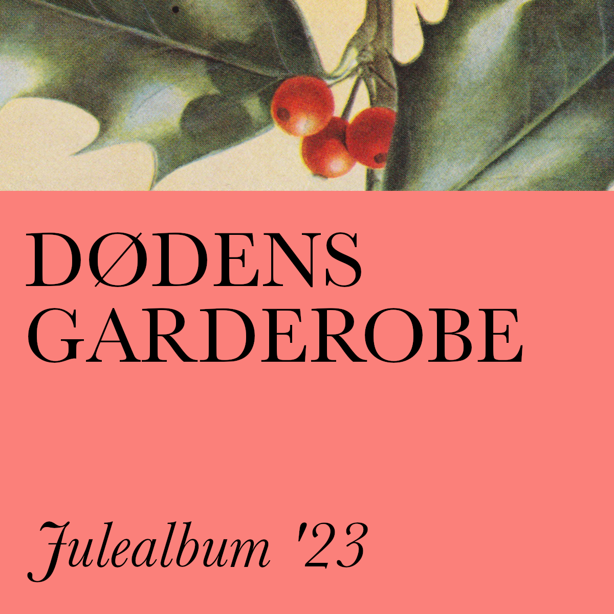 Dødens Garderobes Julealbum — Jeppe Zeeberg